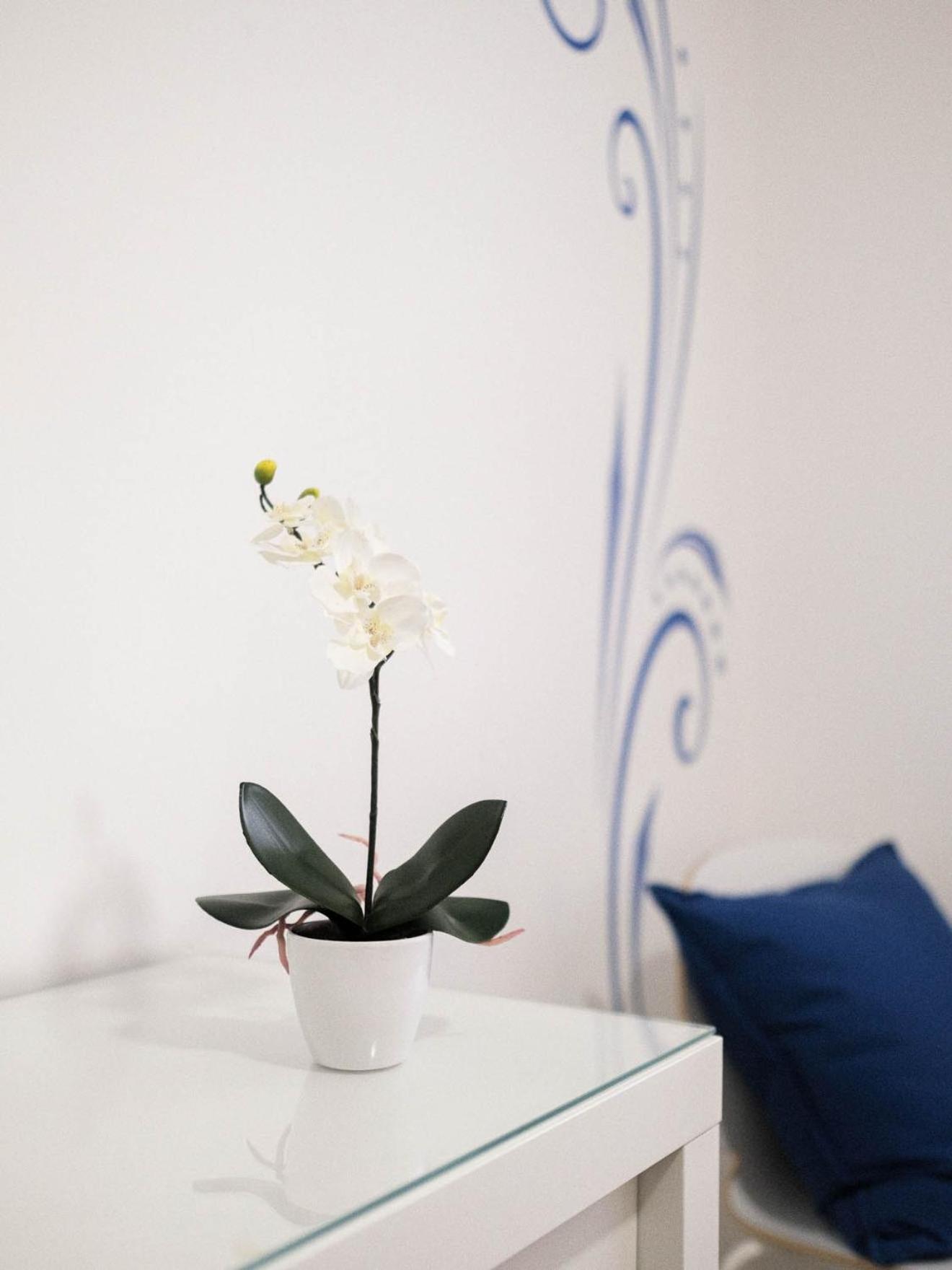 Cazenn Nazare - Apartment Z Экстерьер фото